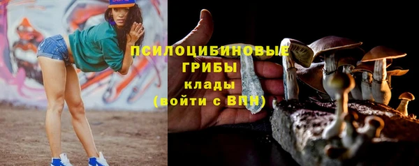 крисы Балабаново