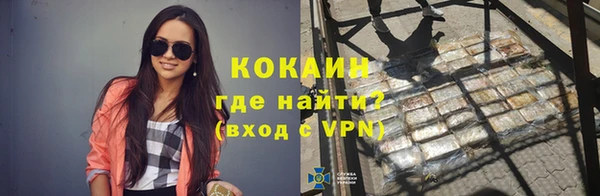 индика Корсаков
