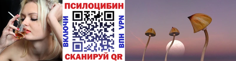 Псилоцибиновые грибы Psilocybine cubensis  Котово 